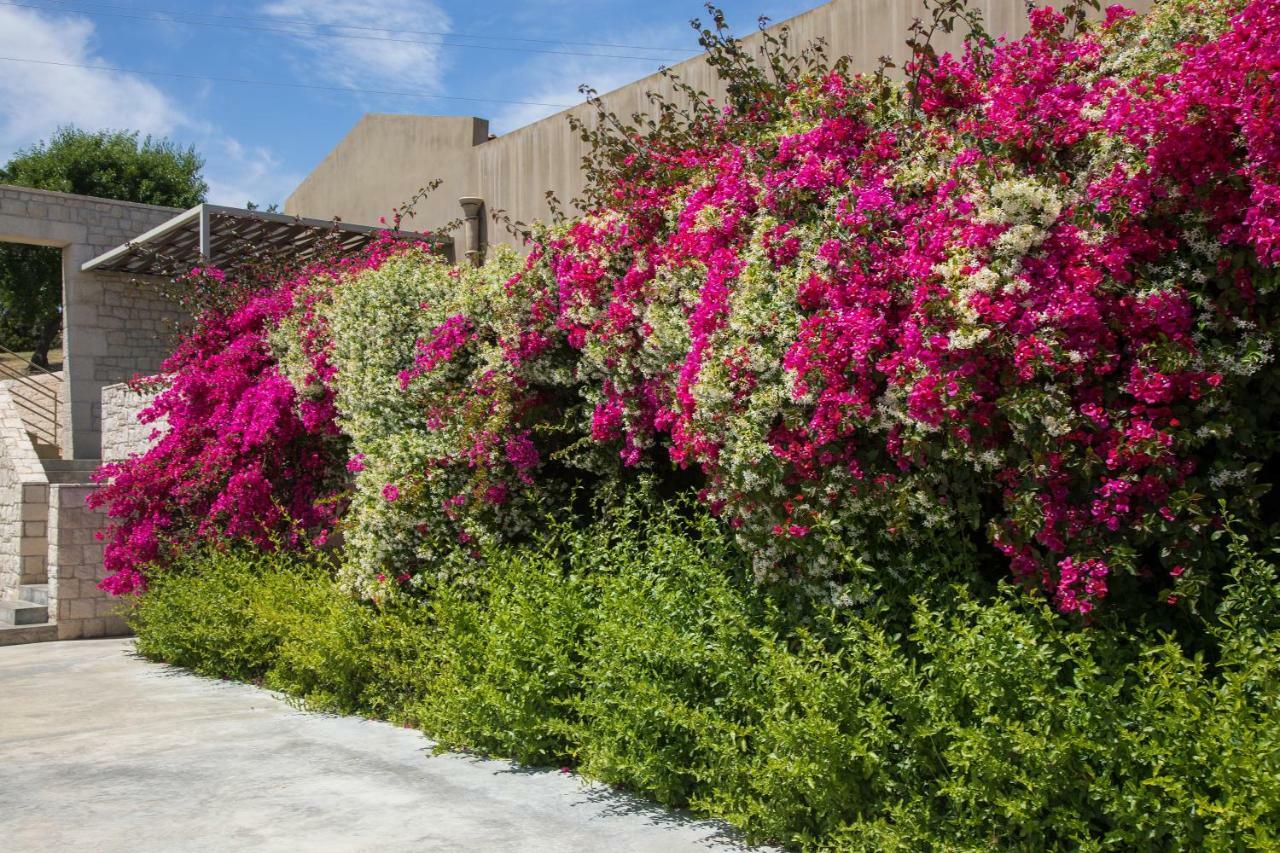 Country House Villadorata 노토 외부 사진